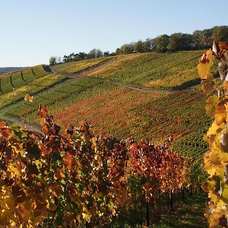 Gaestehaus Am Weinberg Weingut Lingen *