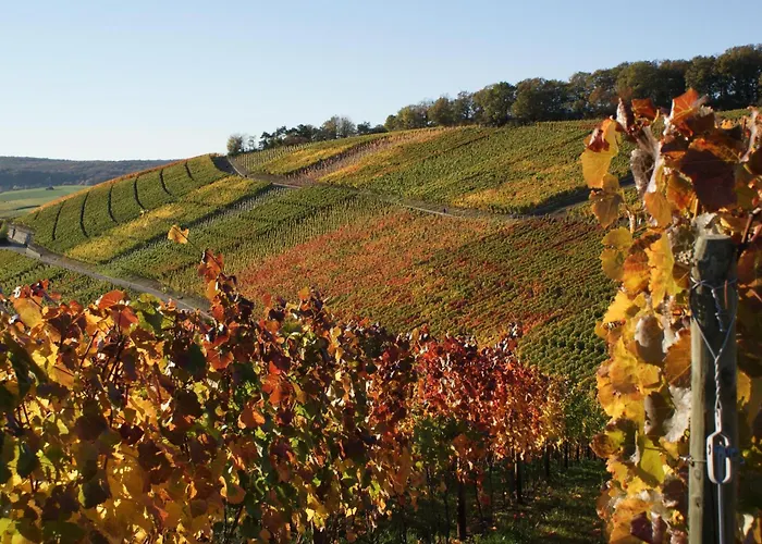 Gaestehaus Am Weinberg Weingut Lingen *